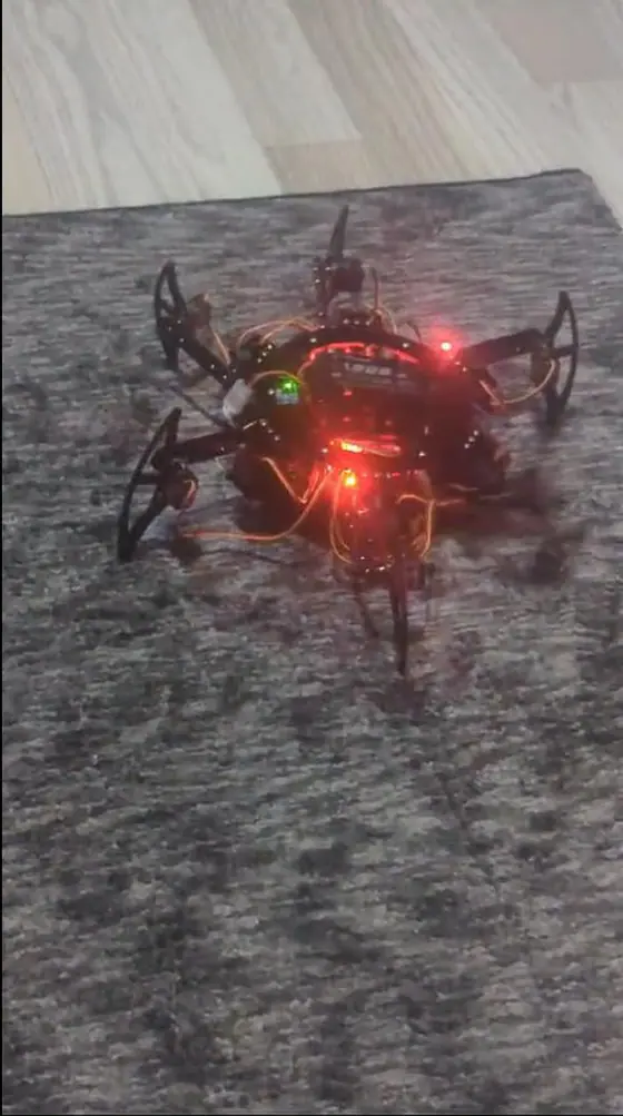 Advanced Hexapod Robot — Lab captures — Screen 03