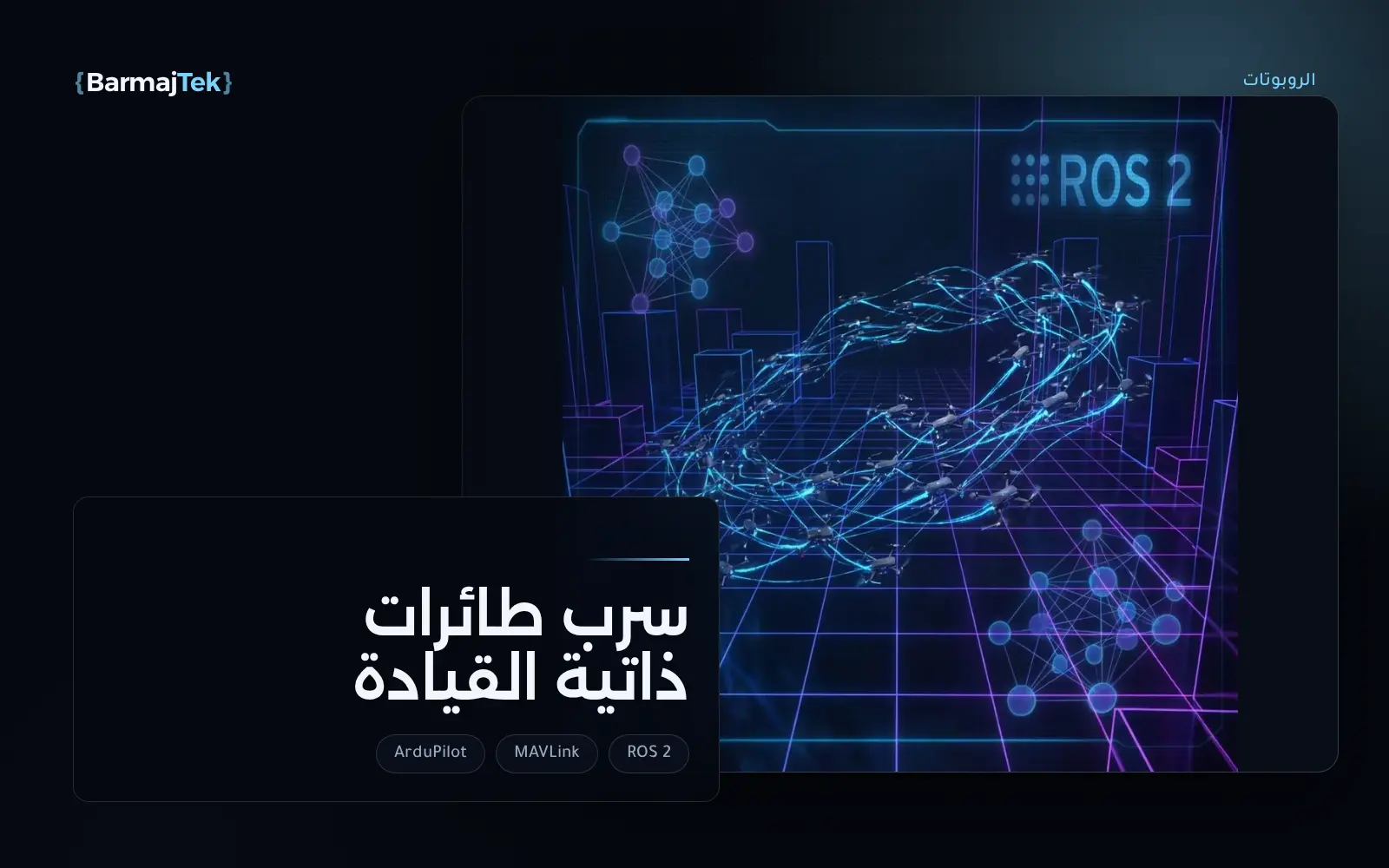 صور من سرب طائرات ذاتية القيادة